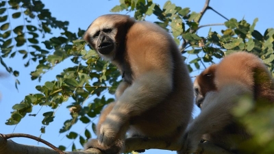 Dampa Wildlife Sanctuary