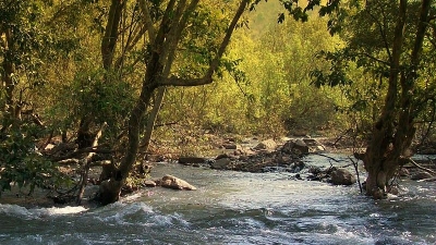 Sitamata Wildlife Sanctuary