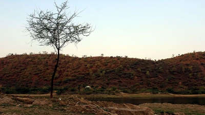 Sajjangarh Wildlife Sanctuary / 2023