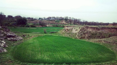 Haripur-Guler