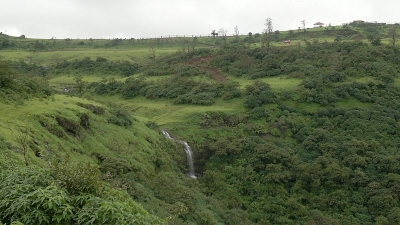 Mahal Bardipara Forest