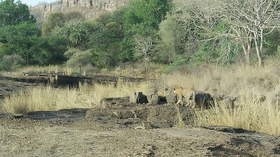 Kachida Valley