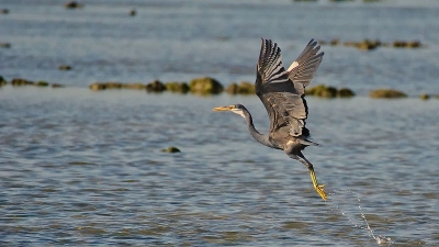Marine National Park