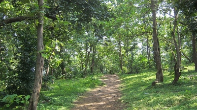 Jambughoda Wildlife Sanctuary