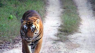 Gugarnal National Park