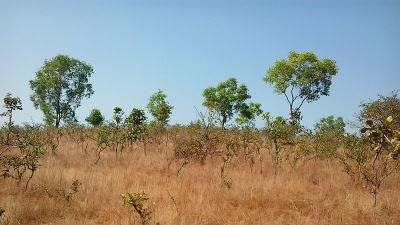 Mookambika Wildlife Sanctuary