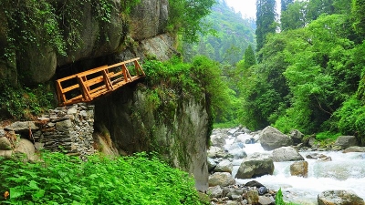 Nature Walks
