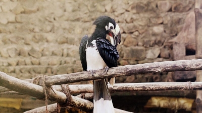 Kohima Zoo