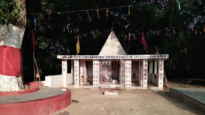 Temples In Bhojpur