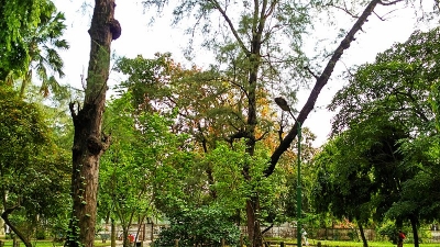 The Ramana Park