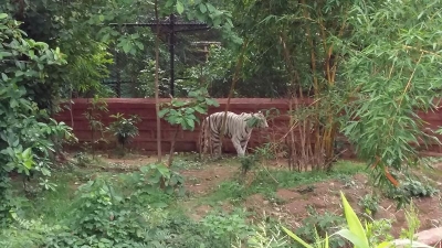 Kaimur Wildlife Sanctuary