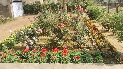 Mohan Kumaramangalam Park