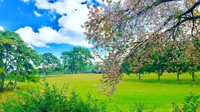 Shillong Golf Course