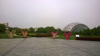 Butterfly Museum