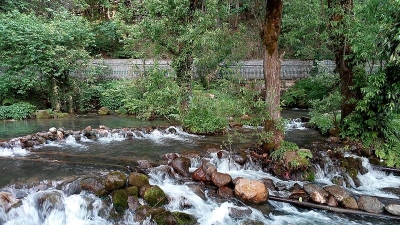 Kokernag