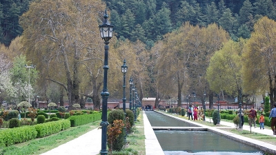 Verinag