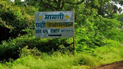 Mayani Bird Sanctuary