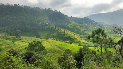 Pinnath