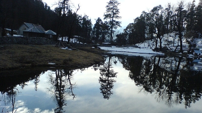 Dodital