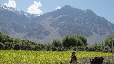 Ladakh Ecological Development Group