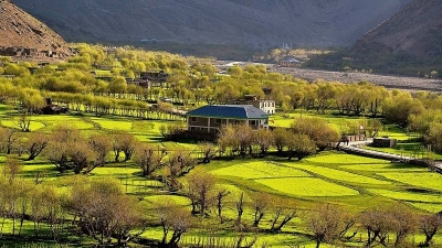 Suru Valley