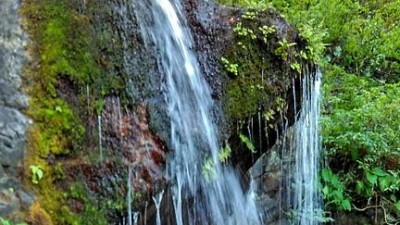 Subhash Dhara