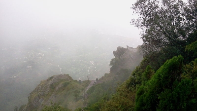 Chauthi Jaali