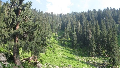Hurpora