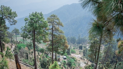 Binsar Wildlife Sanctuary