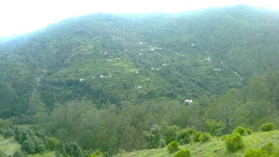 Simtola