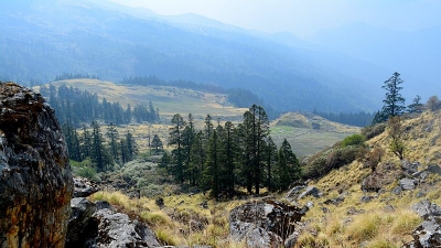 Nanda Devi National Park
