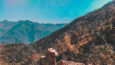 Trekking