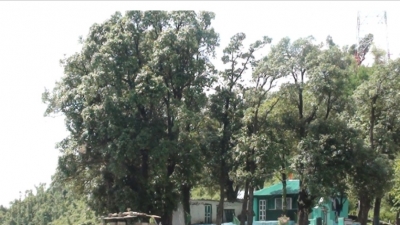 Ziarat Pir Fazal Shah Sahib