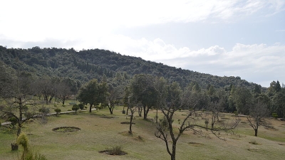 Khirsu