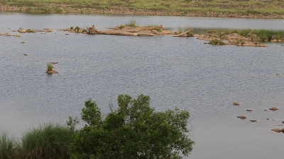 Karmanasa River