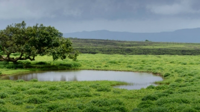 Kaas Plateau and Kaas Lake
