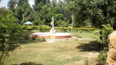 Chak Sarkar Forest