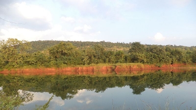 Nallamala Forest