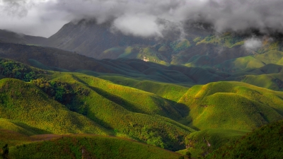 Dzukou Valley