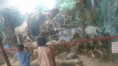 Tuibuong And Thangzam Road Tribal Museums