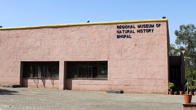 Government Archaeological Museum