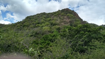 Sathuragiri Hills