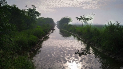 Rajasthan And Sirhind Canals