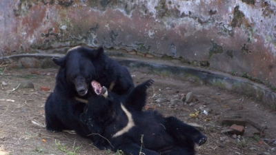 Itanagar Wildlife Sanctuary