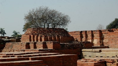 Archaeological And Excavation Area
