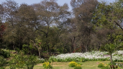 Buddha Jayanti Park