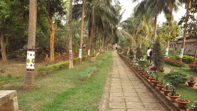 Museum Of Tribal Art And Artefacts