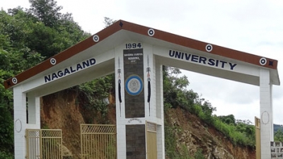Nagaland University