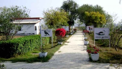 Samaspur Bird Sanctuary