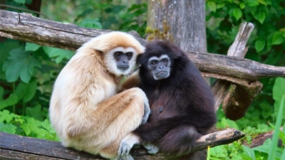 Ntangki National Park